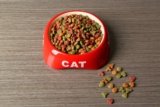 The History of Commercial Pet Food: Invention & Timeline