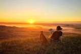 Exploring America’s National Grasslands With Dogs