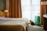 5 Pet-Friendly Hotels Near Galena, IL (2023 Update)