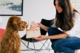 Dog Mom Gift Guide – P.L.A.Y.