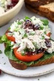 Turkey Salad – Spend With Pennies