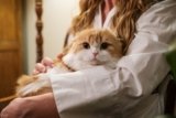 Are Cats Good for Your Health? Science-Backed Benefits