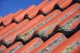 Watch for These Common Winter Roof Problems